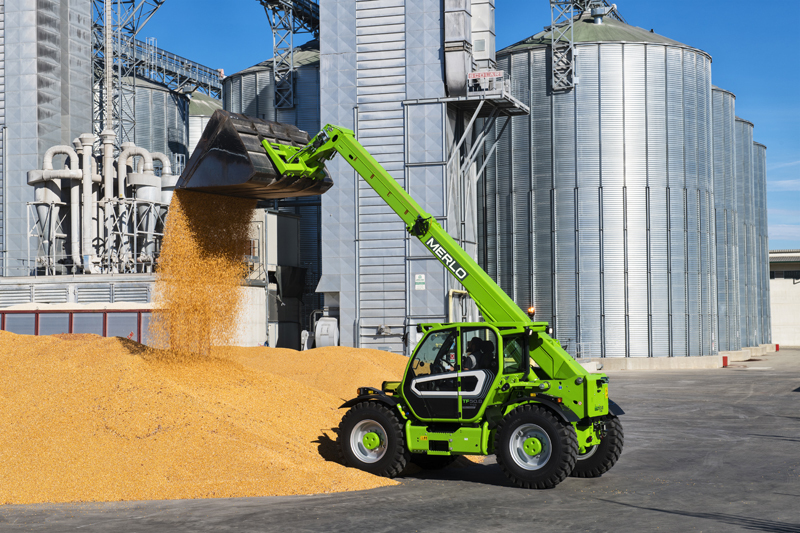 Merlo
