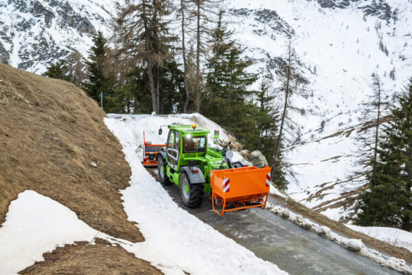 Merlo