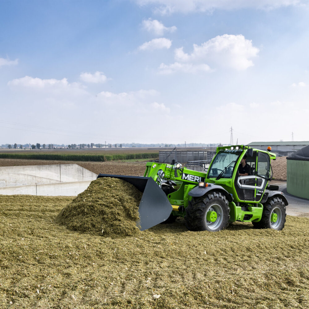 Merlo