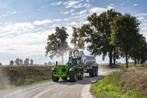Merlo